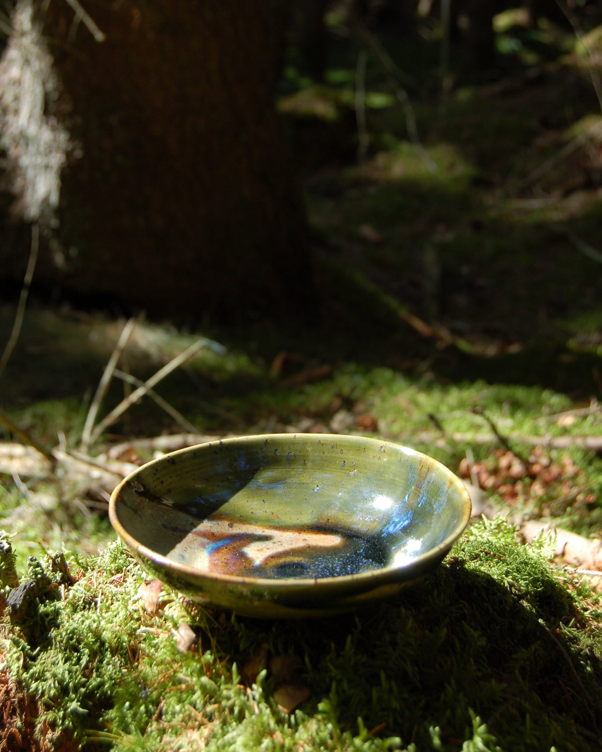 Forest skål, small