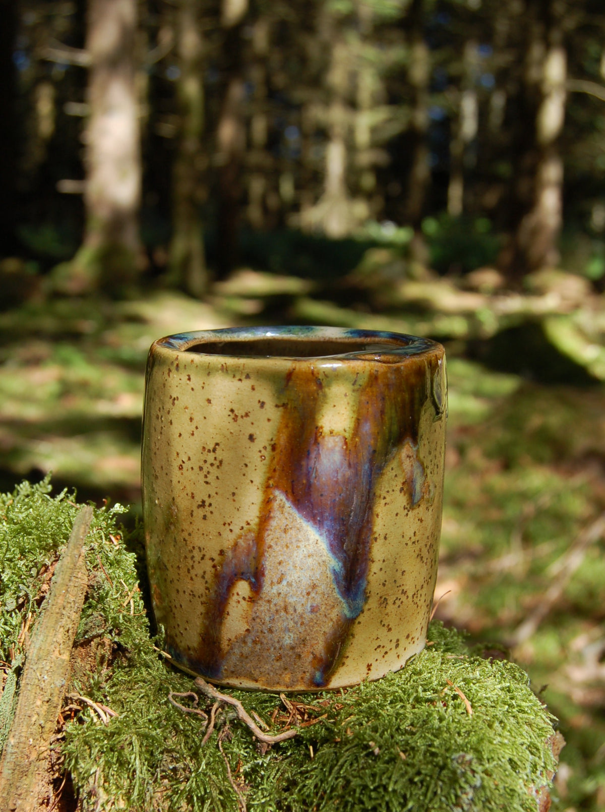 Forest To-Go